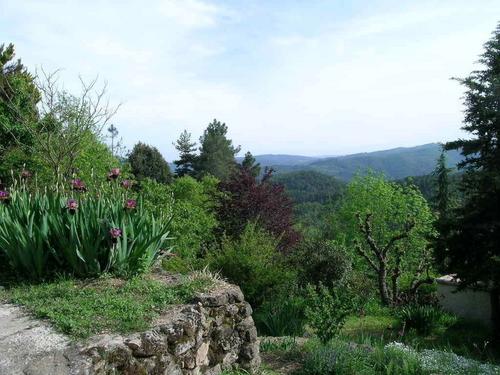 Les Gramailles à SAINT-MICHEL-DE-CHABRILLANOUX