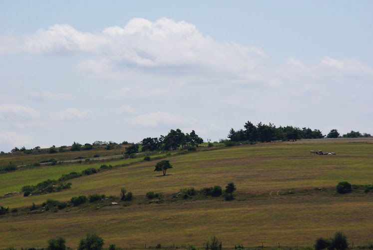 Lapanouse à Sévérac-d'Aveyron