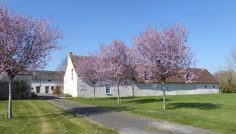 Les Petites Cigognes à Cussay