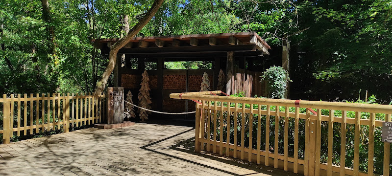 Safari Lodge