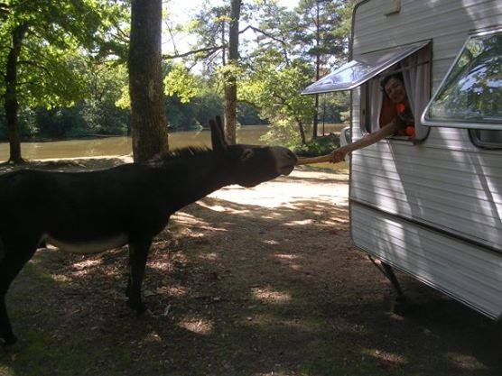 Camping de Malesse à Saint-Privat