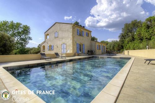 La villa des oliviers sauvages à Sartene