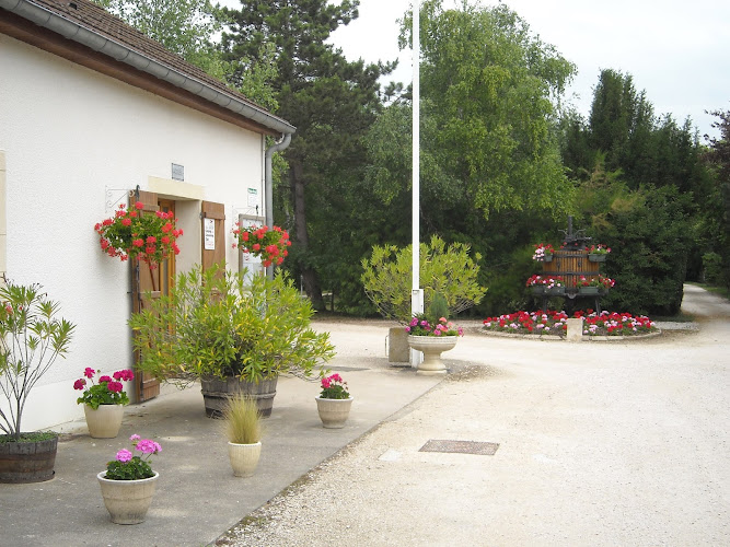 Camping Les Bouleaux à Vignoles