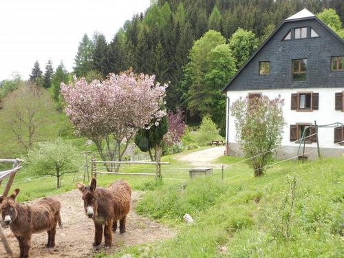 Chez Kosso à Le Bonhomme
