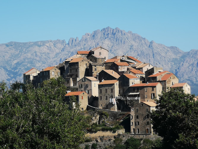 Tralonca à Tralonca