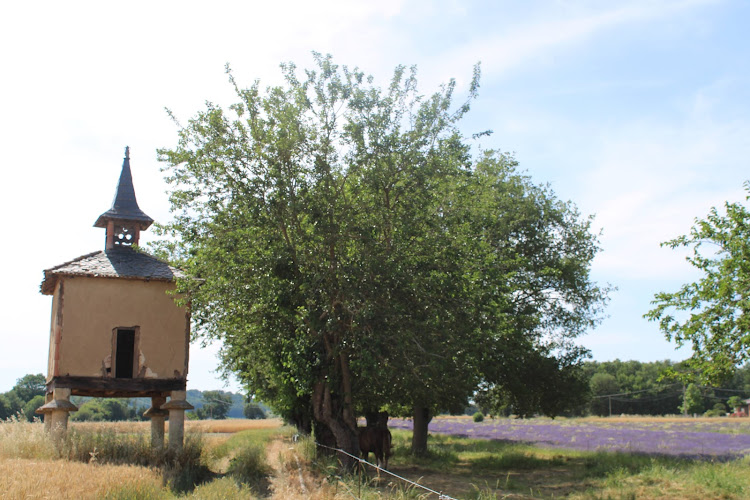 Cambounet-sur-le-Sor à Cambounet-sur-le-Sor