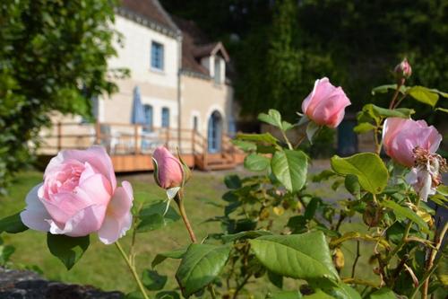 Gîte de la Fontaine à Chambourg Sur Indre