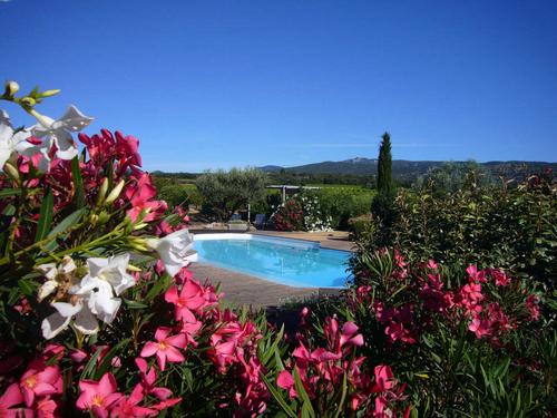 Domaine Condamines - Picholine à SAINT-JEAN-DE-FOS