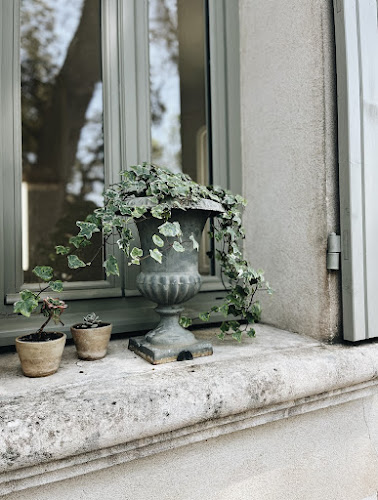Le Chant Des Oiseaux à Nîmes