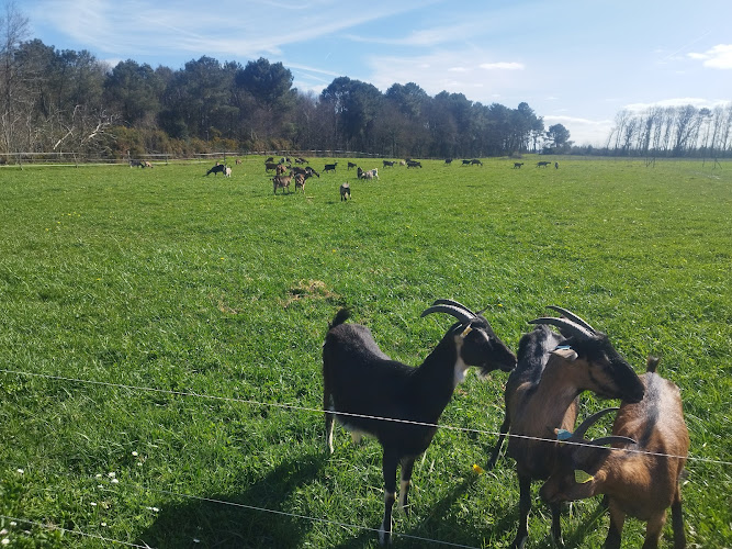 Ty givri à Avessac