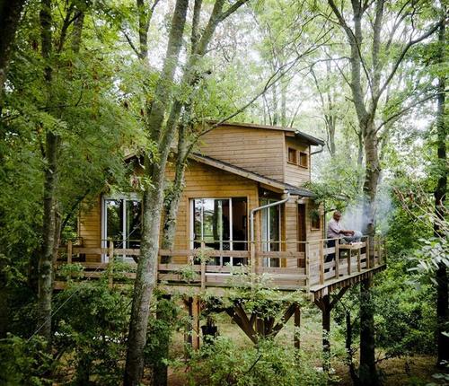 Cabane Perchée de Chambonnière à Plessis-Feu-Aussoux (Le)