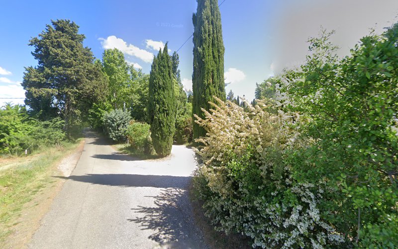 Homecamper - Celine Mazza