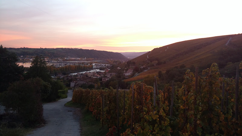 La Gerine à Ampuis