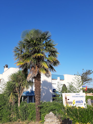 Hôtel Océan Forêt aux Mathes à Les Mathes