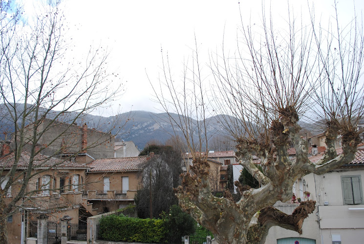 Nidelice à Quillan