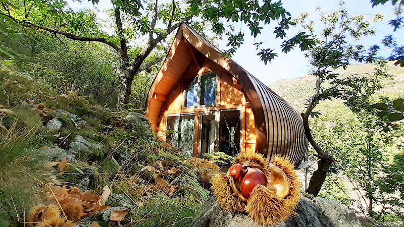 Les Cabanes du Loup bleu à La Souche