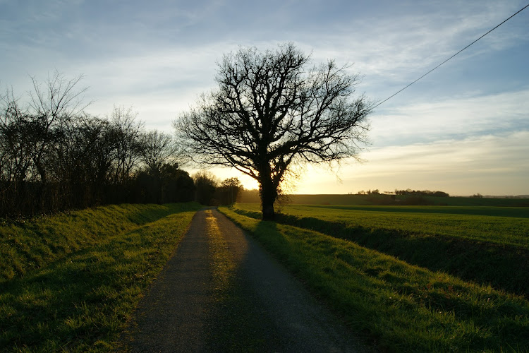 Miramont-Latour à Miramont-Latour