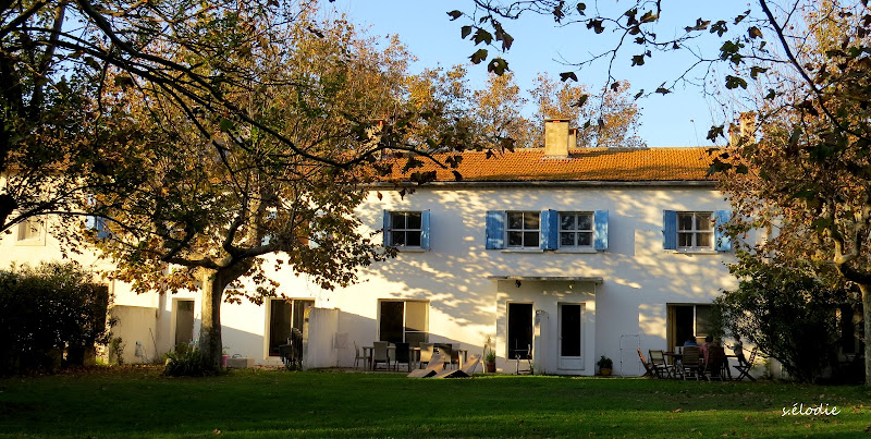 Mas de la Vigne à Arles