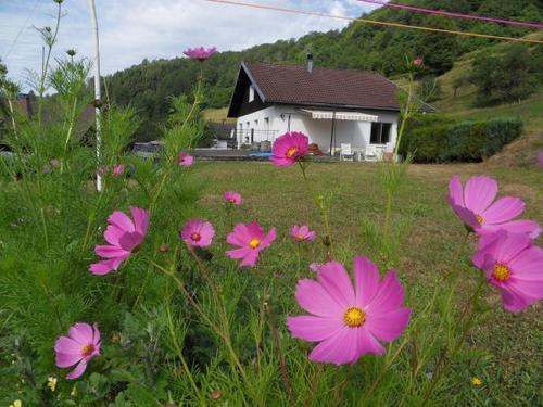 Les Framboisiers à La Bresse