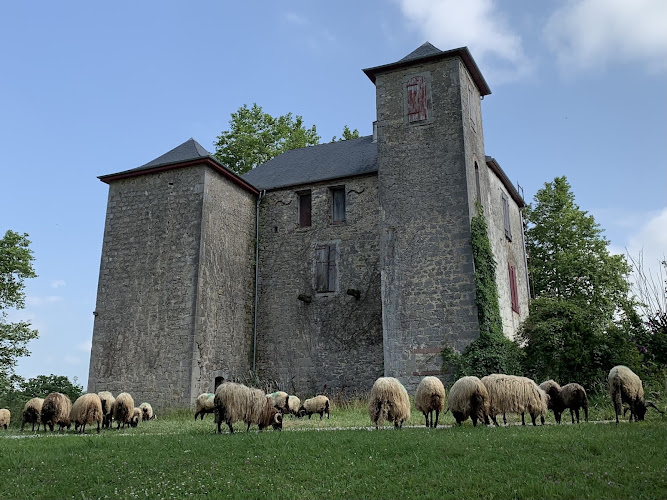Domaine du lac d Harrieta à Saint-Jean-le-Vieux