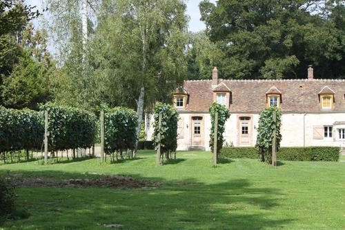 La Tanière - GITE 306 - DOMAINE DE FREVENT à Chapelle-Rablais (La)