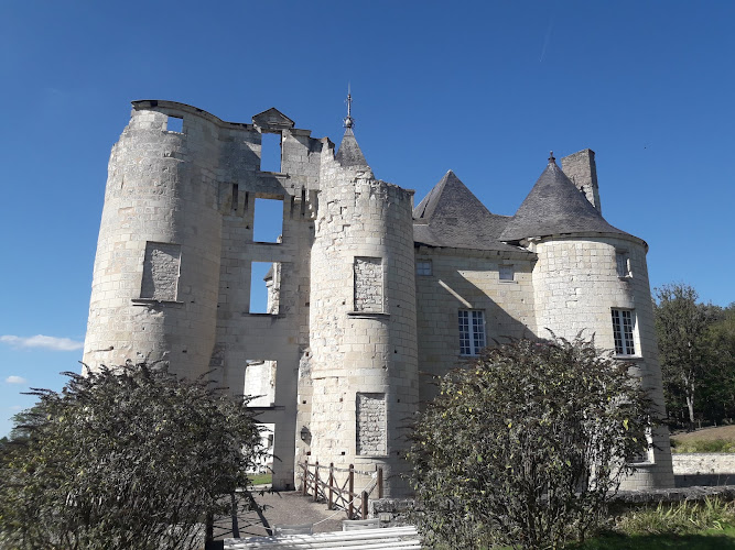 Chteau du Fou à Vouneuil-sur-Vienne