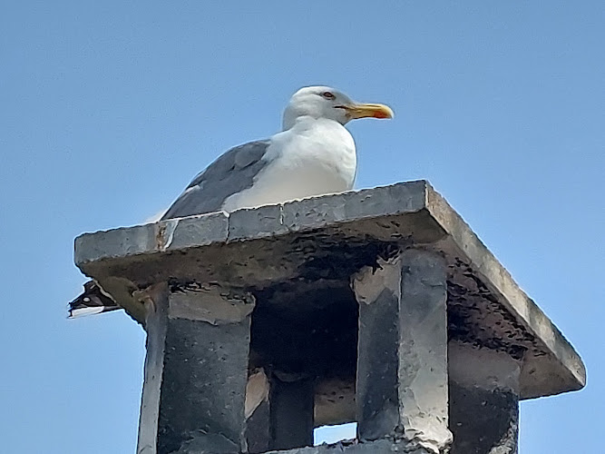 Igesa Frontignan à Frontignan