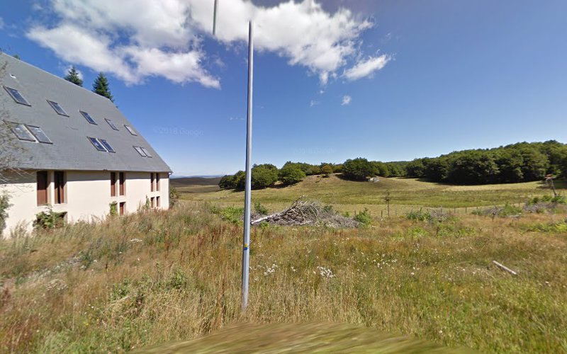 Le Perce Neige de l Aubrac à Curières