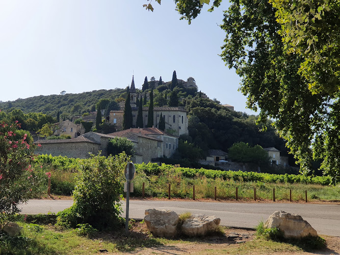 Le Vieil Olivier à Cornillon
