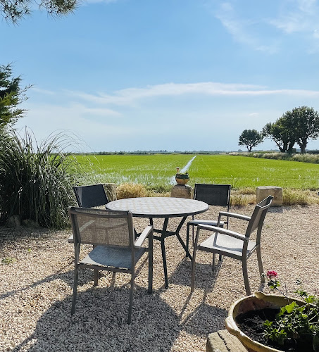 Le domaine de Remoule à Arles