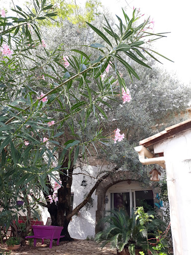 La Vigne Des Heures Claires à Saint-Nazaire-d'Aude
