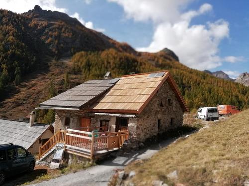 Mounette à Puy-St-Andre