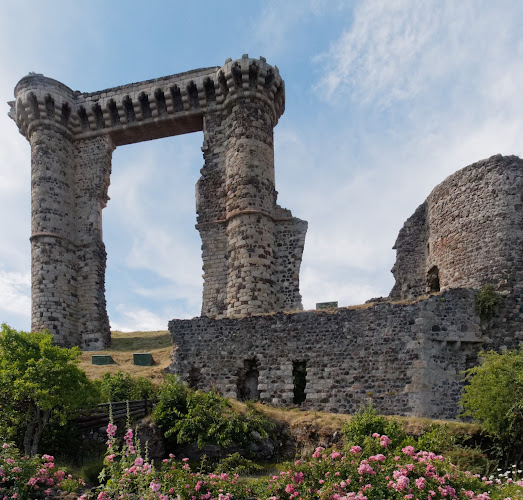 Le Domaine De Fonteline à Allègre