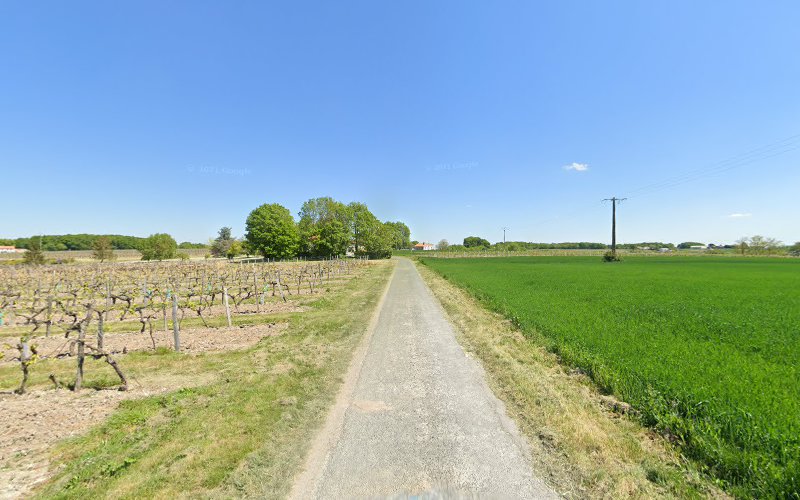 La Blanchetterie Chenac à Chenac-Saint-Seurin-d'Uzet