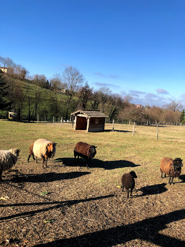La Ferme Du Tilleul à Balbigny