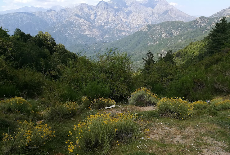 20163 Tavera à Tavera