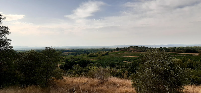Montrose à Tourbes
