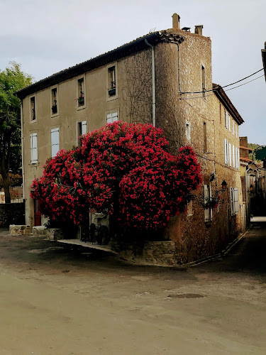 Chez Shona à Lagrasse