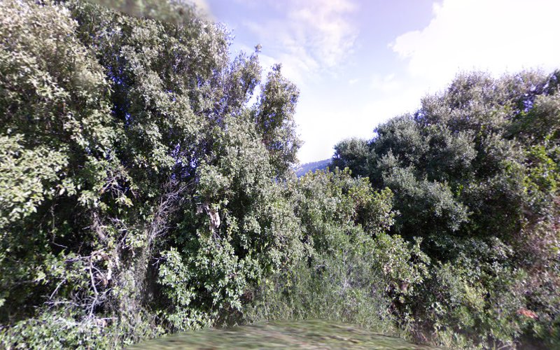 Résidence Nipoti à Belvédère-Campomoro