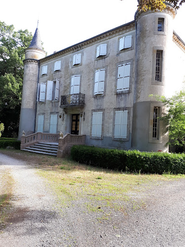 Chateau ANTELYS à Montredon-Labessonnié
