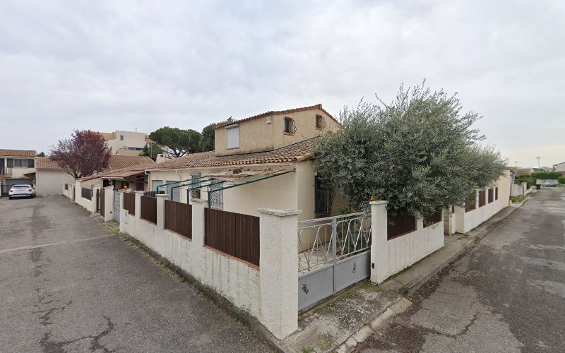 Les Oliviers à Arles