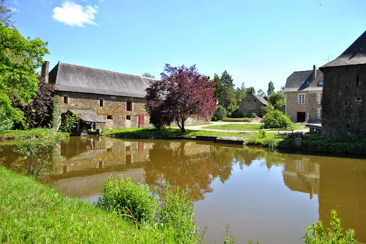 Le Manoir de la Vieille Douve à Segré-en-Anjou Bleu