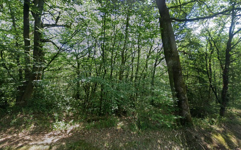 Le rouveroux à Chteauneuf-la-Fort