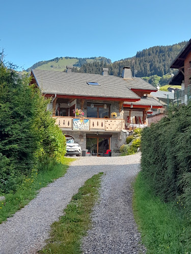 Chalet/Gîte La Boule de neige à Chtel