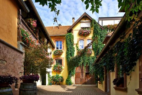 Gîte Le Riesling