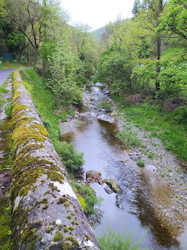 Tauriac-de-Camarès à Tauriac-de-Camarès