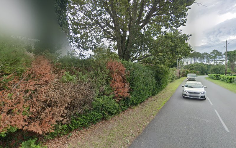 Gîte L Airial de Bergan Soustons Landes à Soustons
