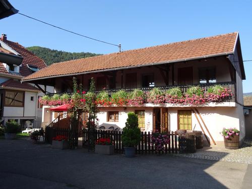 Chez les Alsaciens à Wintzenheim