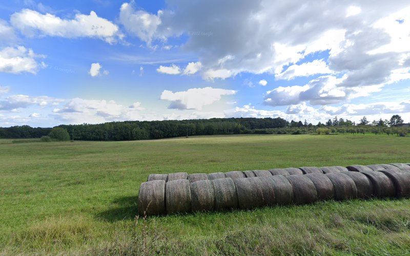 Camping à La Romieu