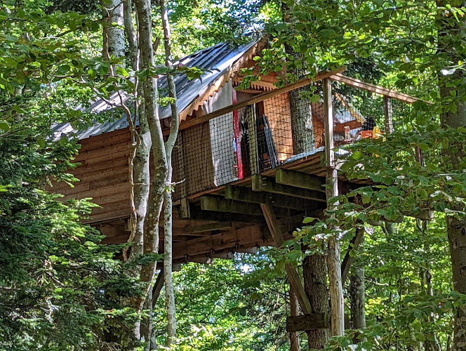 Treehouse à Doizieux